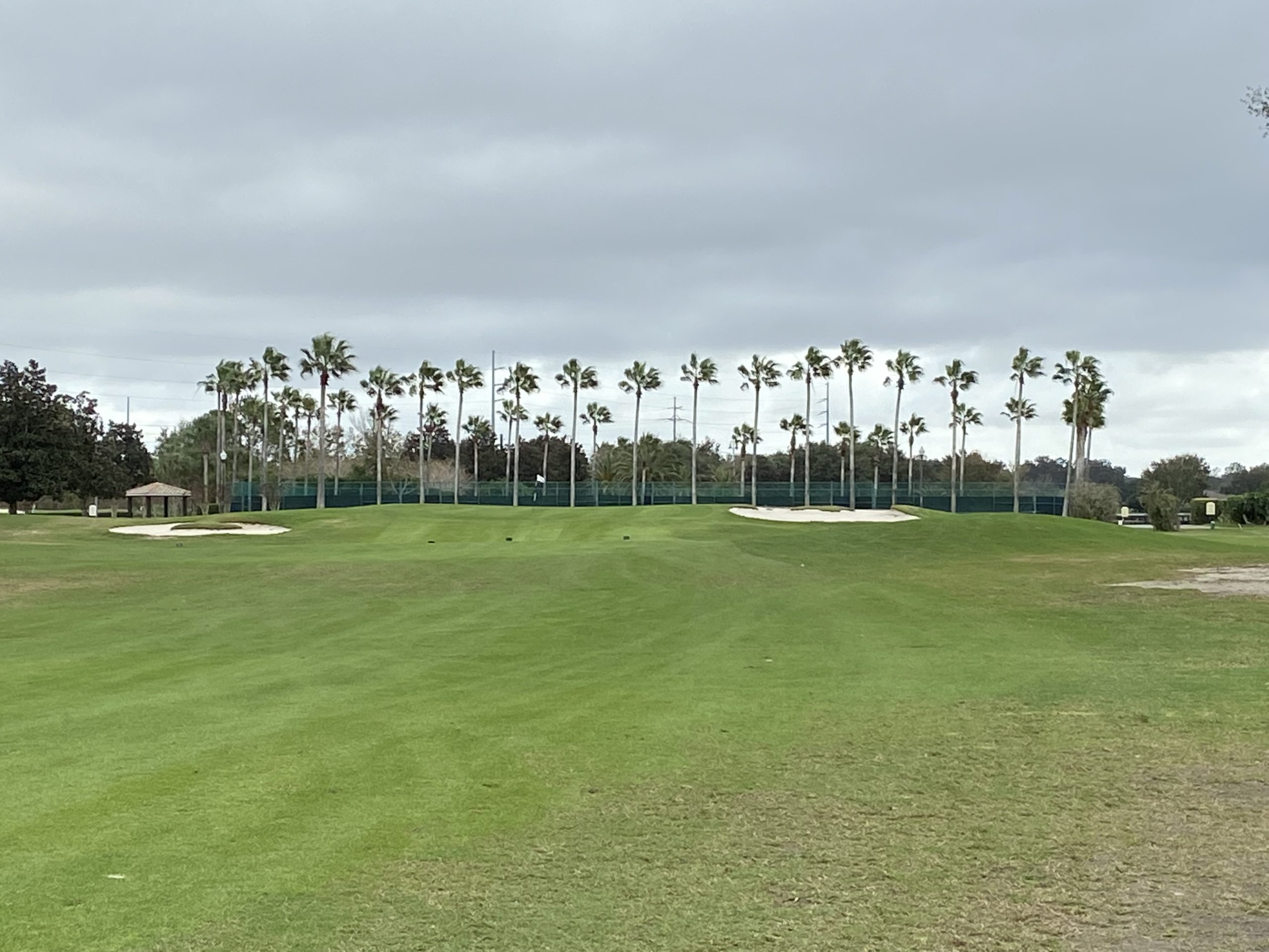 Review White Heron golf course Orlando : Innovative Travelers